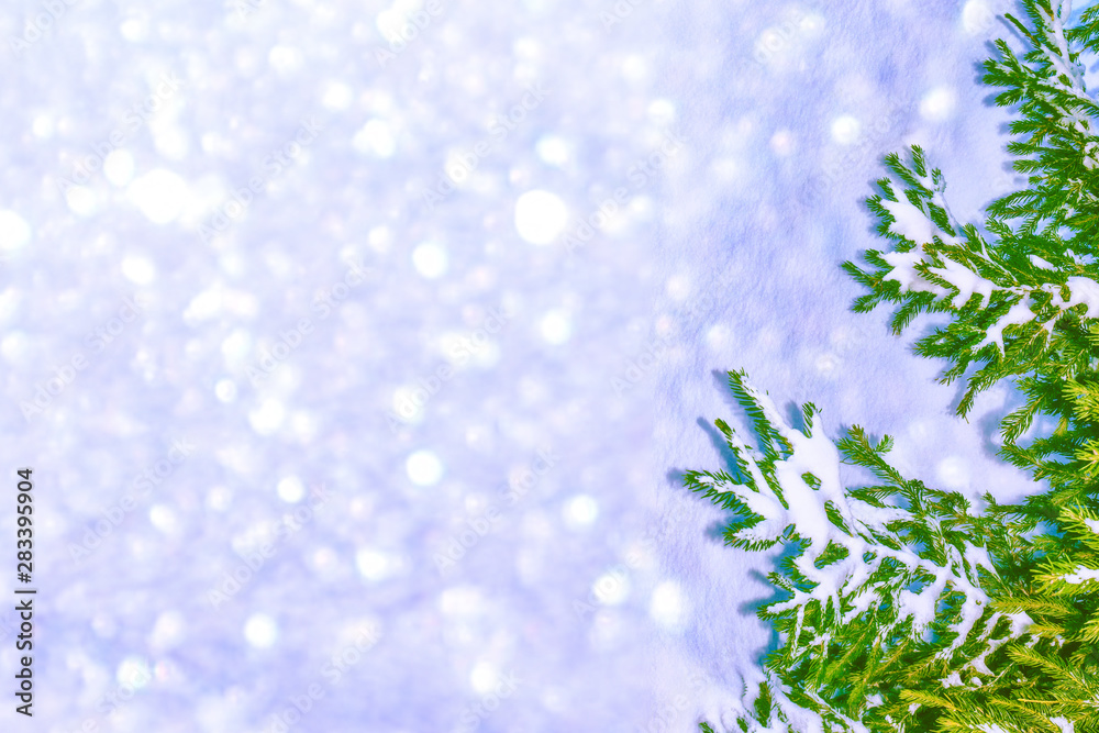 Frozen winter forest with snow covered trees. Frozen winter forest with snow covered trees.