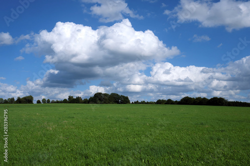 Landscape in Germany with green meadow and trees and hedges and blue sky with white clouds - Stockphoto