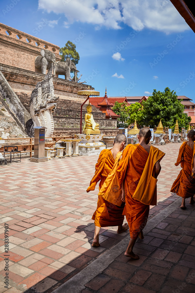Line of novice monks in Thailand
