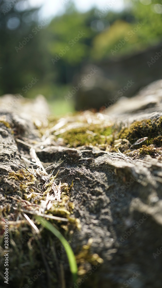 Natur Natur