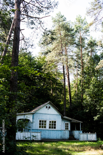 Old wooden house in the forest © alipko