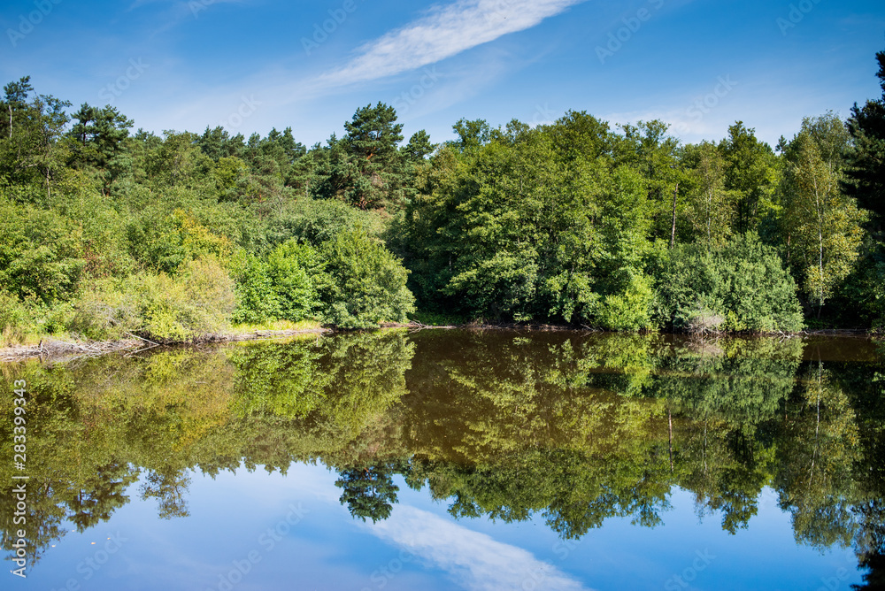 Beautiful wild forest lake in summer sunny day Beautiful wild forest lake in summer sunny day