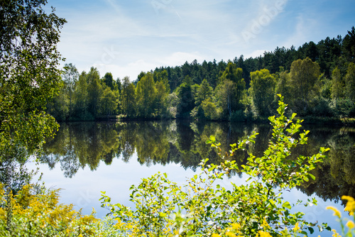 Beautiful wild forest lake in summer sunny day © alipko