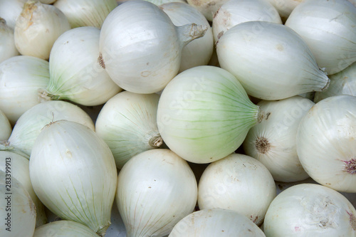 white onions on the market
