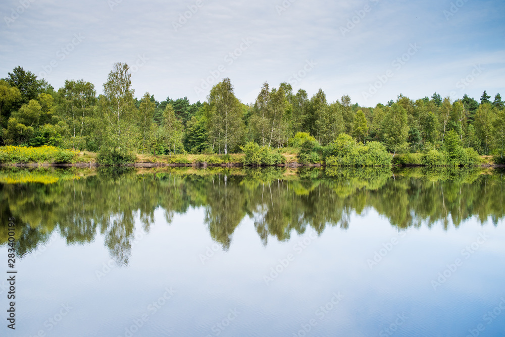 Fototapeta premium Beautiful wild forest lake in summer sunny day