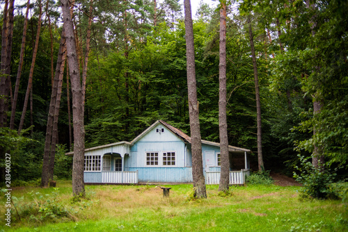 Old wooden house in the forest