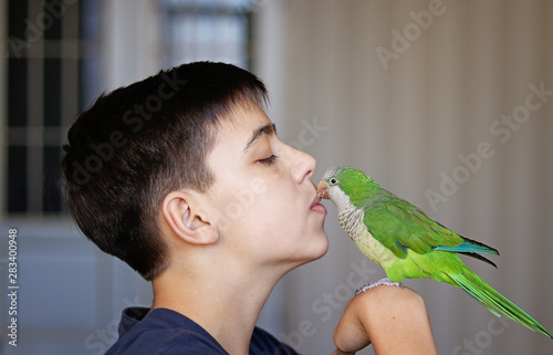 Fototapeta Close-up portrait of teenager boy holding and kissing his green monk parakeet or quaker parrot in front of his face