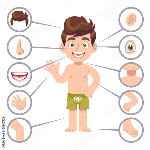 Kid body parts. Human child boy with eye, nose and chest, head. Knee, legs and arms cartoon preschool education vector illustration