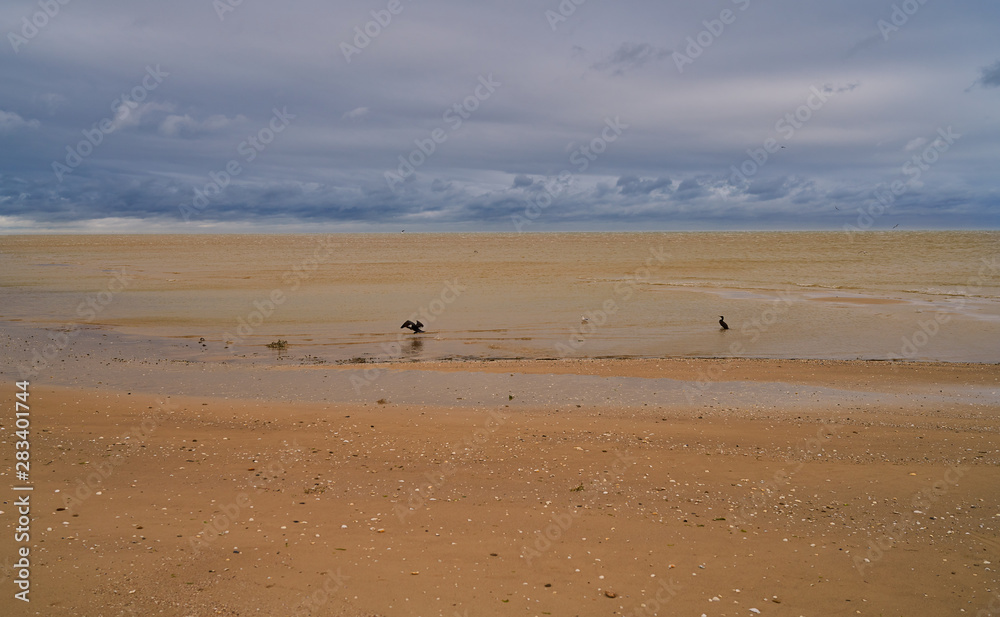coast of the Sea of Azov, seascape coast of the Sea of Azov, seascape