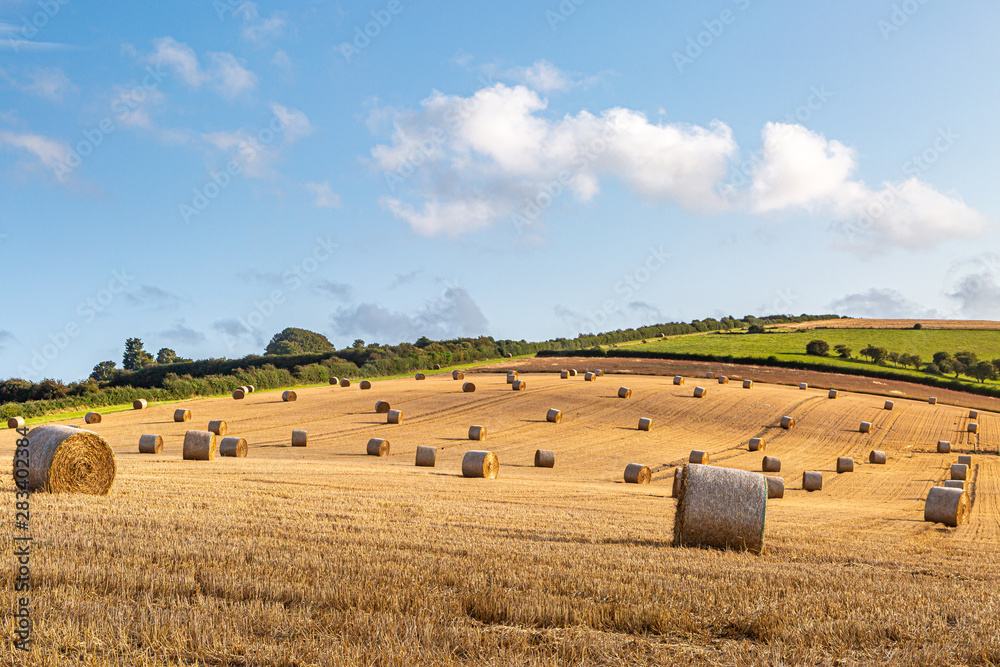An idyllic countryside view, with hay bales in a field in the summer sunshine