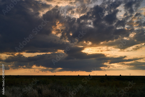 sunset in the steppe  rural landscape
