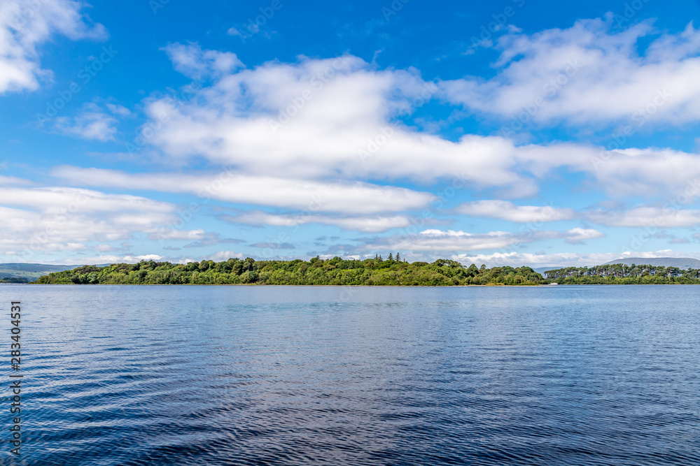 Forest in Island of Lough Corrib Forest in Island of Lough Corrib