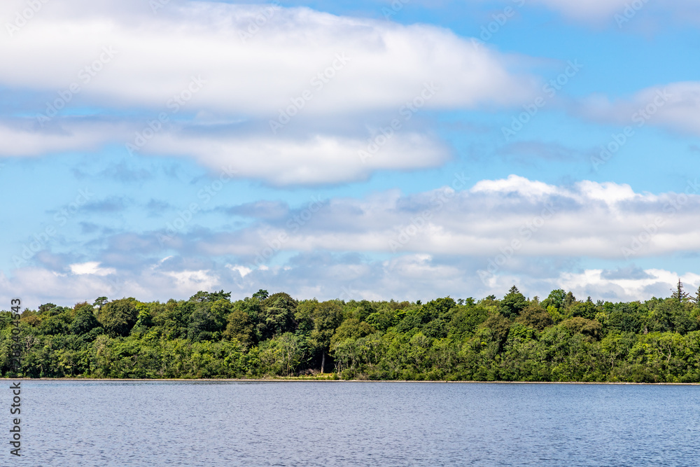 Forest in Island of Lough Corrib Forest in Island of Lough Corrib