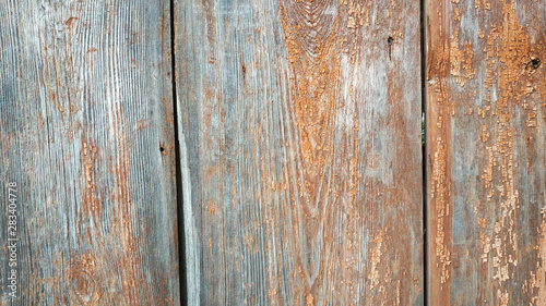 Grey and brown Wooden Door Planking Texture. Old Solid Wood Slats Rustic Shabby Gray Background. Hardwood Dark Weathered Timber Surface. Grunge Faded Wood Board Panel Structure, Close Up © Tasha_zen