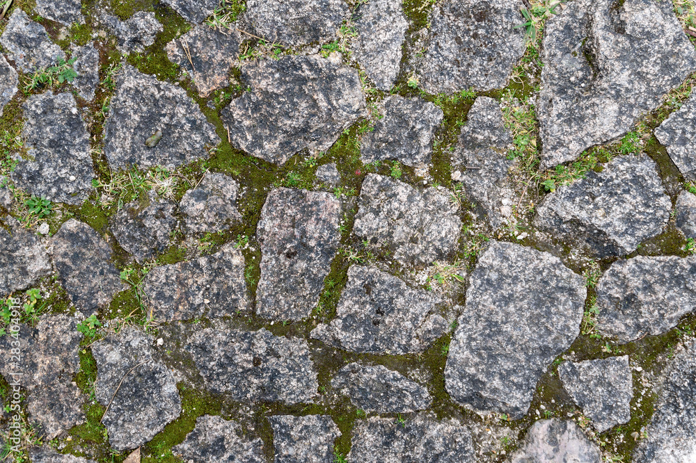 Moss and Stone Texture for Background