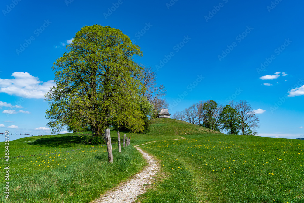 Feldweg zum Sufferloher Frauenbergerl Feldweg zum Sufferloher Frauenbergerl