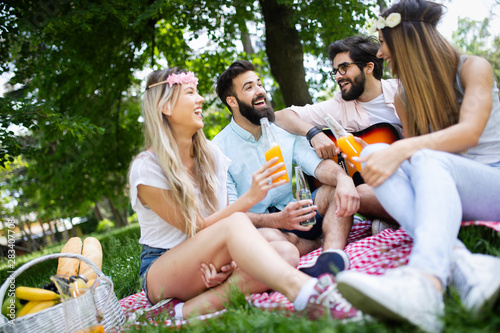 Summer, vacation, music and recreation time concept. Group of friends have picnic outdoor.