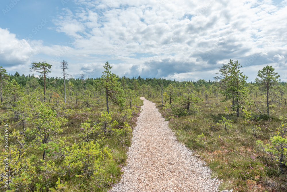 Obraz premium moor mukri estonia