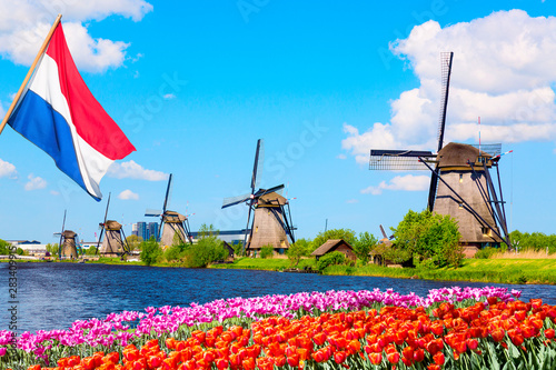 Colorful spring landscape in Netherlands, Europe. Famous windmills in Kinderdijk village with a tulips flowers flowerbed in Holland. Netherlands flag on the foreground