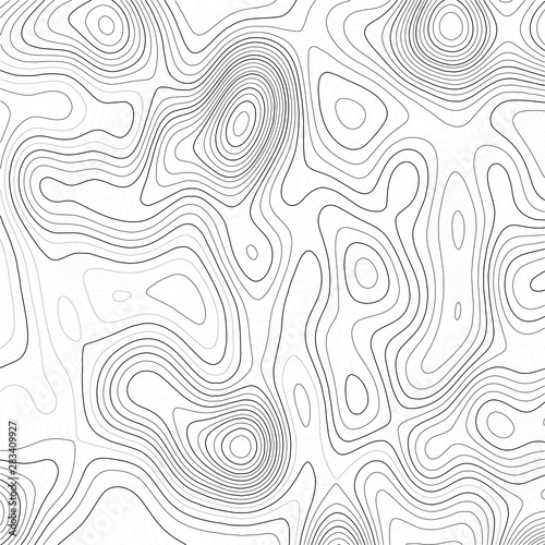 Topography map background. Vector geographic contour map.