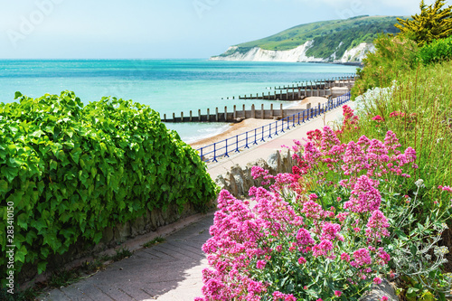 Billede på lærred Walk to Holywell beach in Eastbourne, East Sussex, England, view of the sea, cli