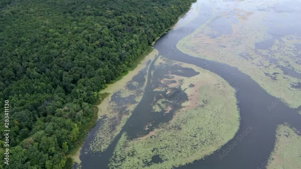 Algae blooms water green surface on the water pollution water nature and environmental with drift and flow at the edge of a lake in summer. Ecological disaster concept.