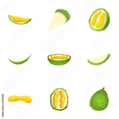 Organic durian icon set. Cartoon set of 9 organic durian vector icons for web design isolated on white background