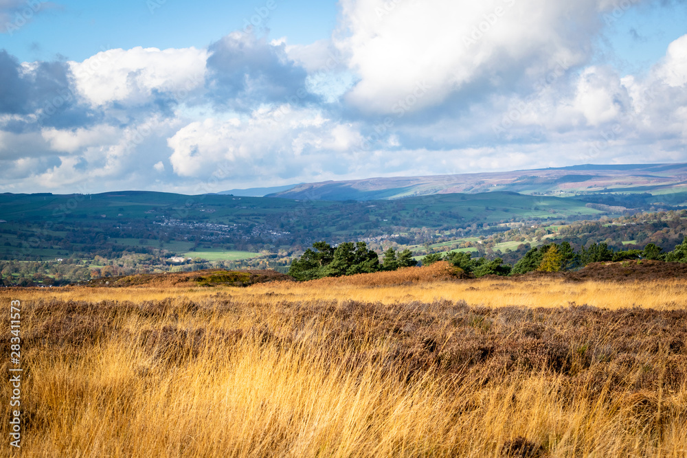 Ilkley moor. Yorkshire.