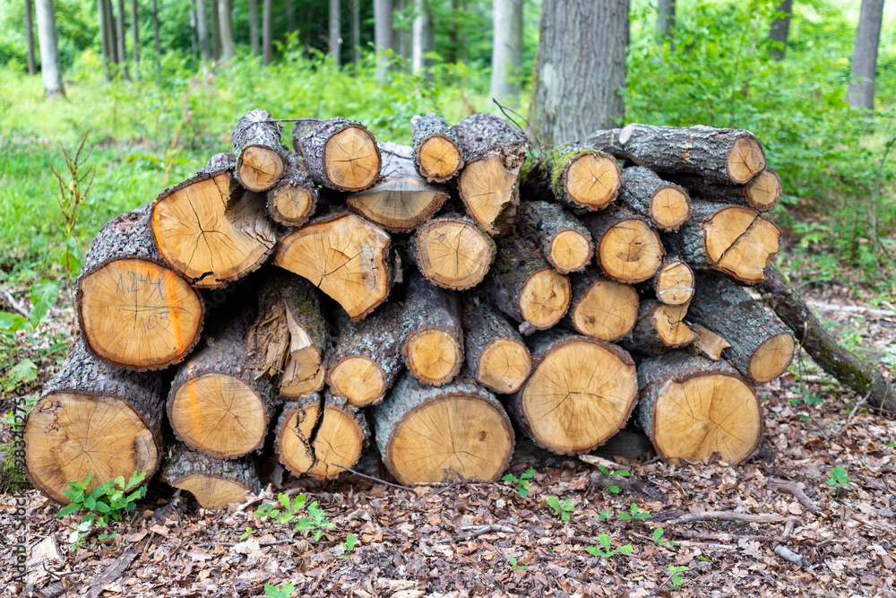 A pile of wood by a forest road. Wood prepared for export from the forest.