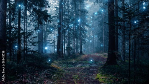 Mystical dark foggy forest path with magic flying fireflies. Fairy tale. photo