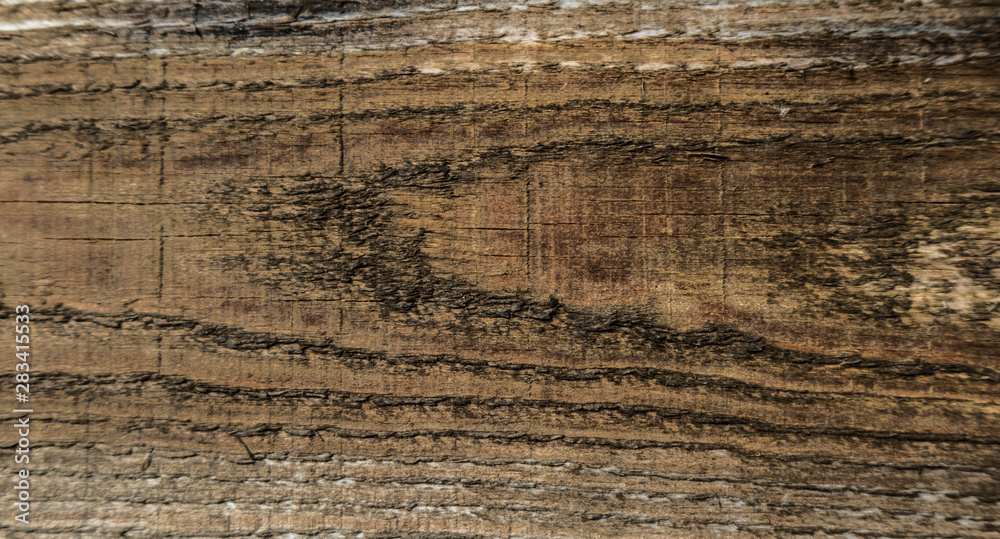 Fototapeta Brown wooden ligneous texture background