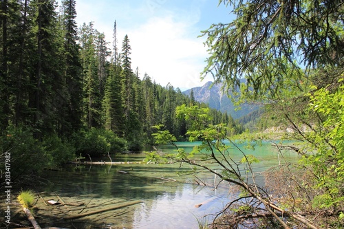 lake in the forest
