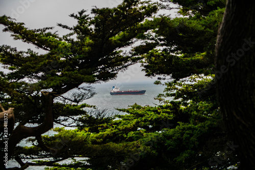Scenic Ships 2