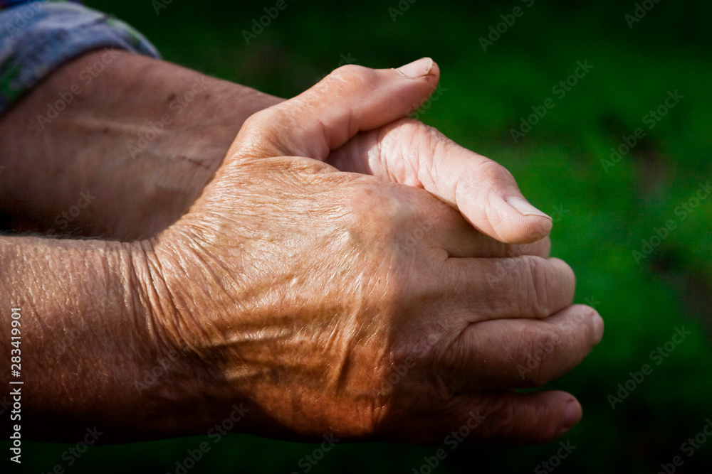 Fototapeta premium Grandmother prays for children and grandchildren