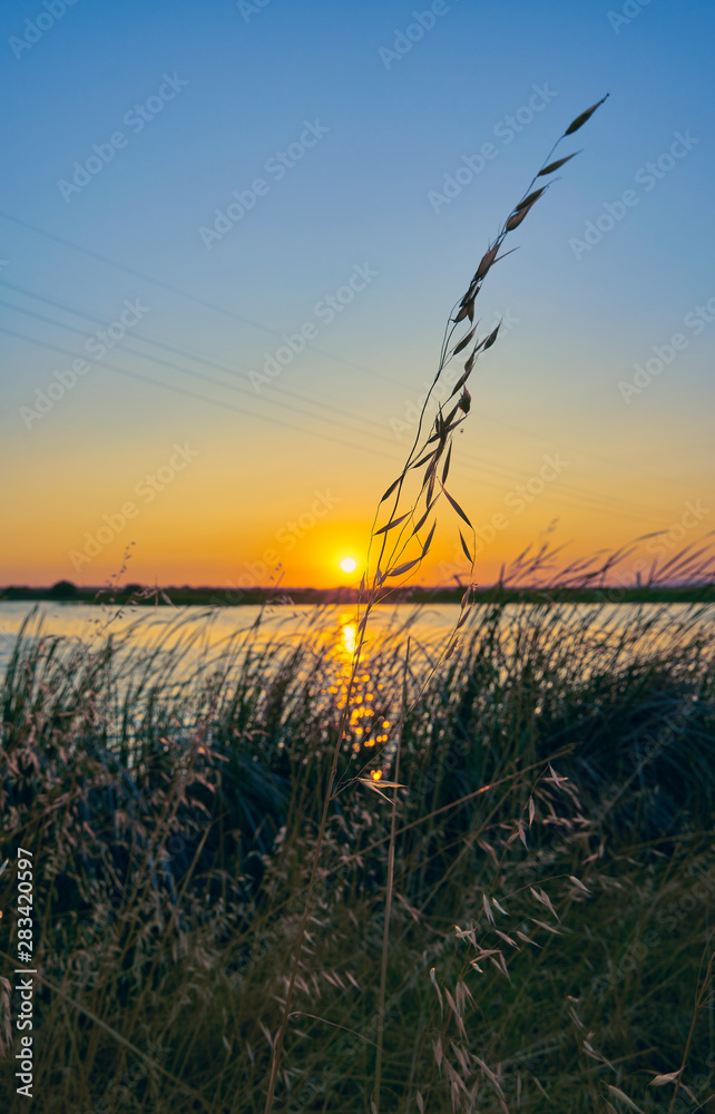 Fototapeta premium Sunset in a landscape with lake, trees and light towers. Estremadura. SpainSunset in a landscape with lake, trees and light towers. Extremadura. Spain