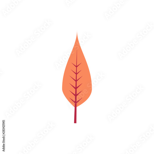 Autumn leave, orange icon. Element of color autumn flora icon © rashadaliyev