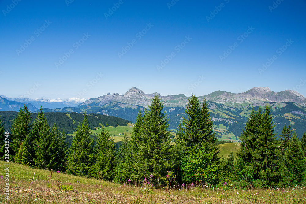 Vue sur la chaine des Aravis Vue sur la chaine des Aravis