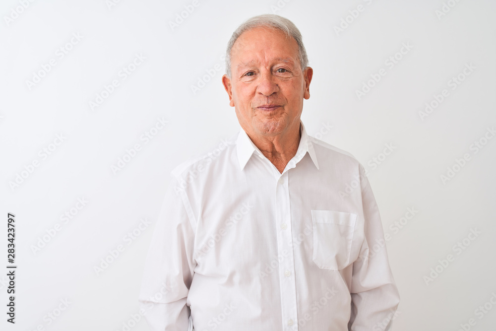 Senior grey-haired man wearing elegant shirt standing over isolated white background Relaxed with serious expression on face. Simple and natural looking at the camera. Senior grey-haired man wearing elegant shirt standing over isolated white background Relaxed with serious expression on face. Simple and natural looking at the camera.