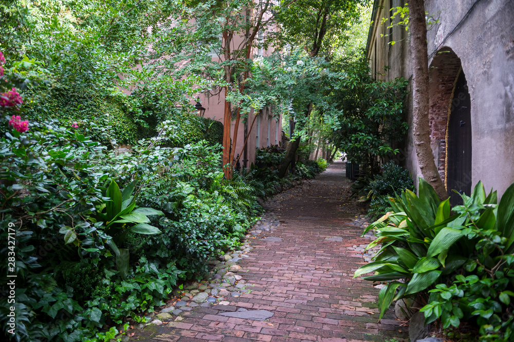 Obraz premium Malowniczy widok na rustykalną, ceglaną aleję Philadelphia wyłożoną subtropikalną zielenią w starym kolonialnym centrum Charleston w Południowej Karolinie, USA