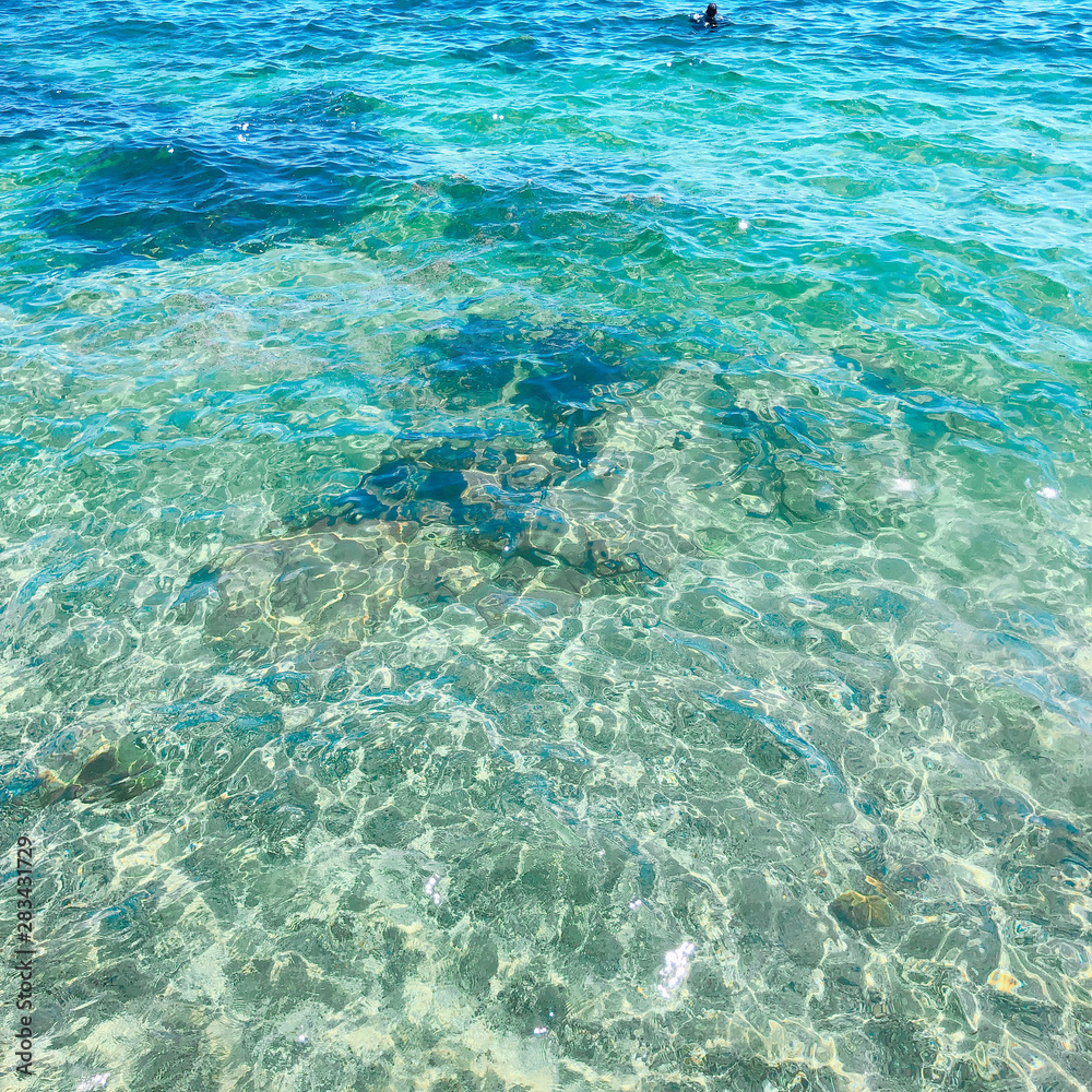 Manly beach Manly beach