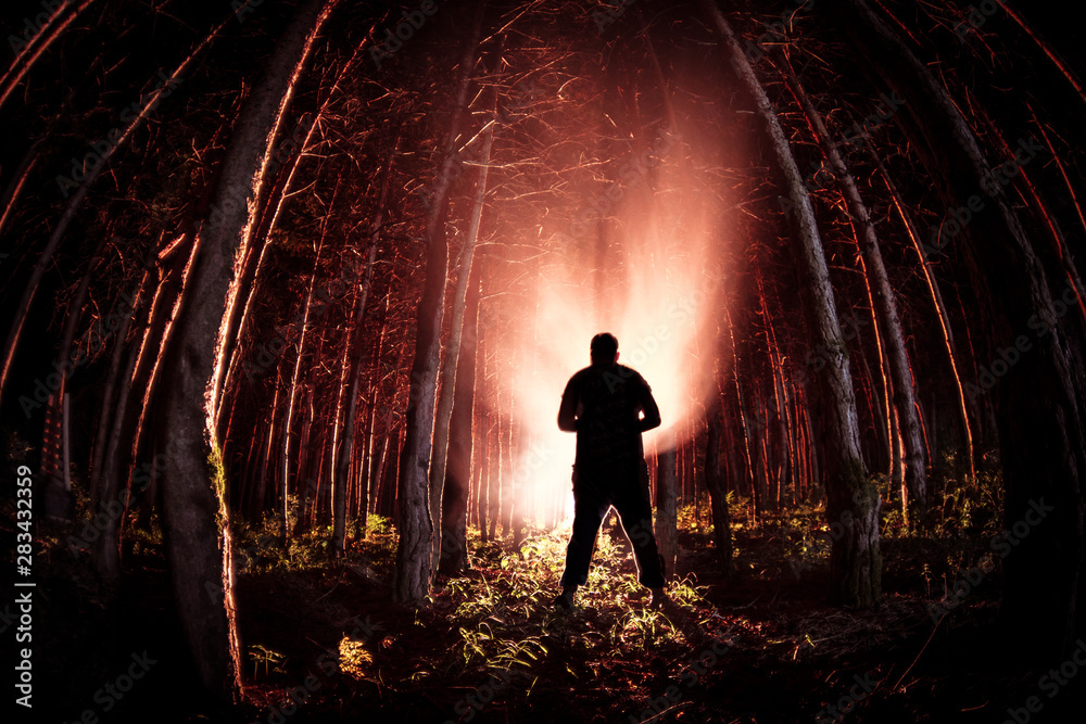 strange light in a dark forest at night. Silhouette of person standing in the dark forest with light. Dark night in forest at fog time. Surreal night forest scene. strange light in a dark forest at night. Silhouette of person standing in the dark forest with light. Dark night in forest at fog time. Surreal night forest scene.