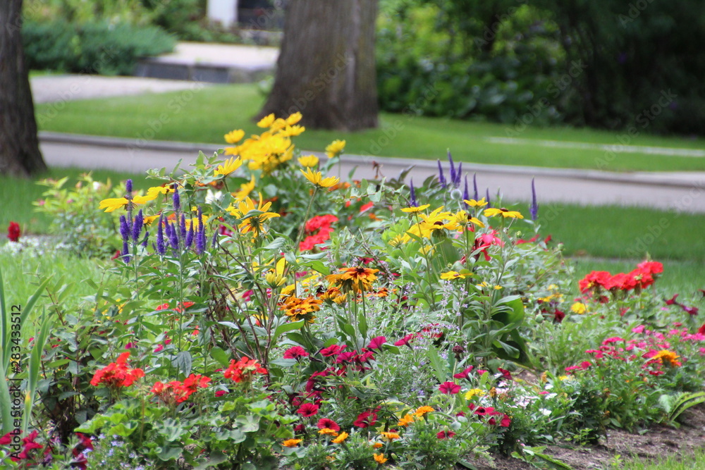 Gardens In Bloom, Alexander Circle, Edmonton, Alberta Gardens In Bloom, Alexander Circle, Edmonton, Alberta