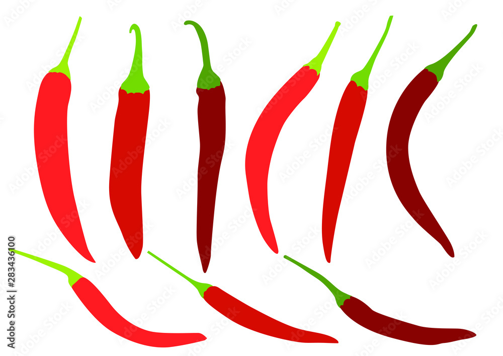 red chilli on white background illustration vector red chilli on white background illustration vector