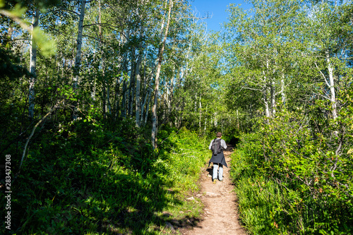 Man walking on Thomas Lakes Hike in Mt Sopris, Carbondale, Colorado in aspen forest on sunny day