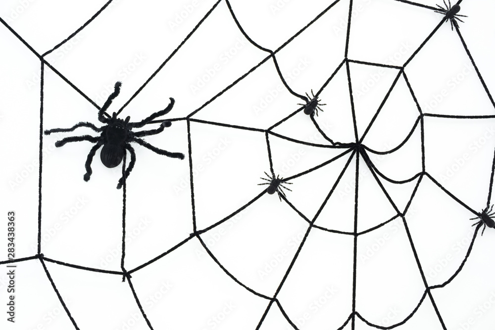 Fototapeta premium Halloween background concept. Spider fiber on a white backdrop.