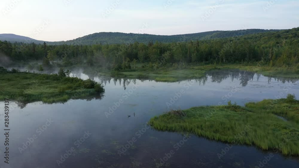 Wide aerial slow shot of lush green forest over water at sunrise. Wide aerial slow shot of lush green forest over water at sunrise.