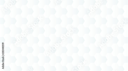 Abstract white background can use for design, background concept, vector.