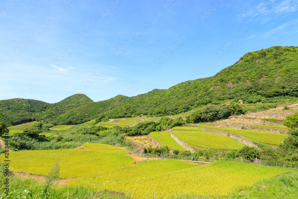 春日の棚田　長崎県平戸市　Nagasakiken Kasuga Rice terraces