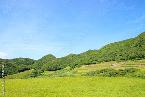 春日の棚田 長崎県平戸市 Nagasakiken Kasuga Rice terraces