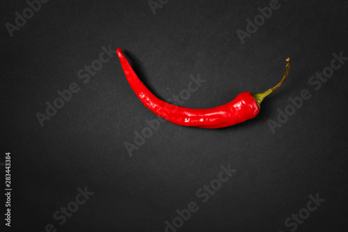 Red chili pepper on dark background